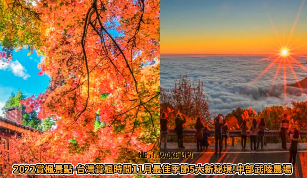 【2026 門票優惠】全台灣10大主題遊樂園優惠親子景點優惠、連假限時優惠 5 賞楓景點