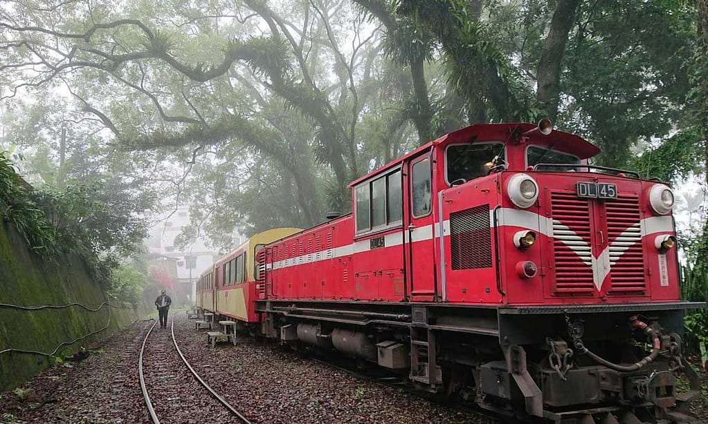 【2023迎新春辦年貨】過年年貨怎麼買?年貨零嘴買什麼? 阿里山小火車-2023票價、時刻表!怎麼玩?怎麼搭?路線圖