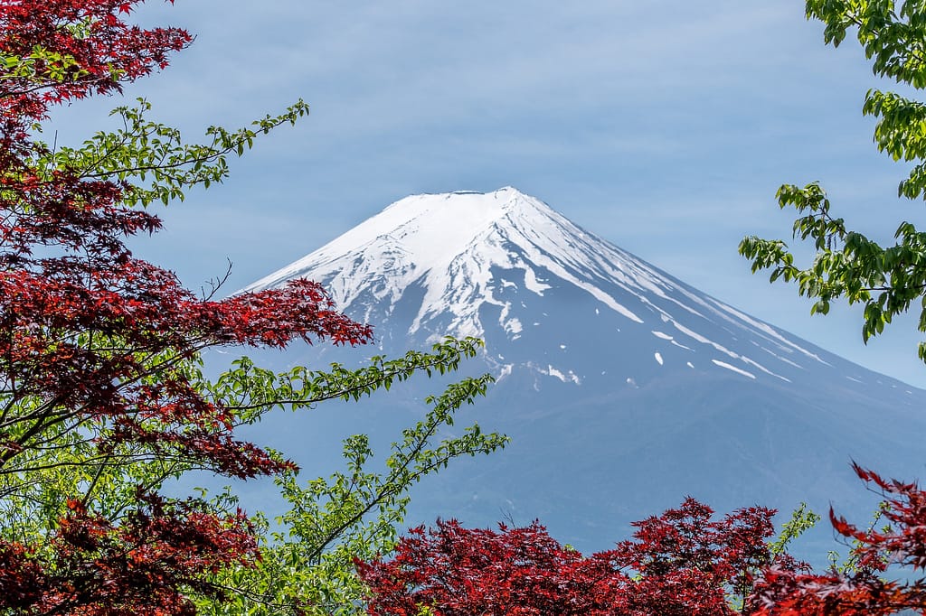 日本旅遊-9個步驟帶你玩最新疫情後的日本景點!推薦行程安排、優惠領取 24 行李打包、穿搭