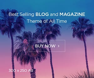 Single Post Template - Default PRO 9 Google search engine
