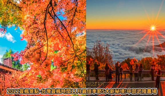 台中美食CP值高餐廳排行-2023年05月在地人推薦吃什麼評價、特色小吃?別在吃觀光客美食啦~排名66家必吃 16 賞楓景點