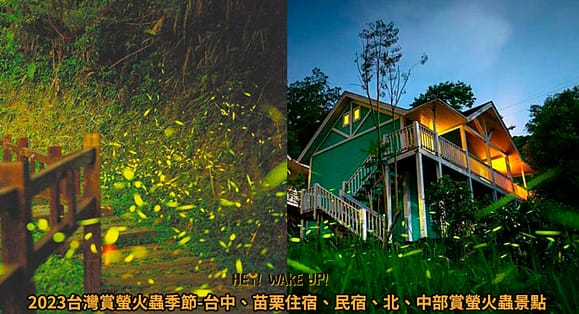 2023中部親子景點推薦-18個精選桃竹苗、台中免費戶外、室內旅遊 5 台灣賞螢火蟲季節