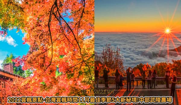 KKDAY折扣碼-2022年12月ptt最新玉山、台新信用卡、台灣水族館旅遊住宿隱藏優惠下殺2折!客服評價、折扣券 8 賞楓景點