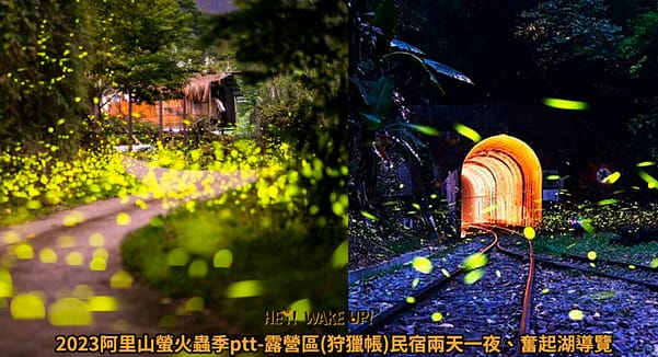 2023台灣賞螢火蟲季節-台中、苗栗住宿、民宿、北、中部賞螢火蟲景點 4 阿里山螢火蟲季