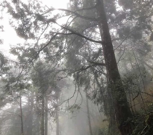 雙十連假-2022國慶煙火哪看?放幾天?火車、高鐵訂票!全臺旅遊活動 45 雙十連假-爬山、步道推薦