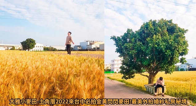 台中美食CP值高餐廳排行-2023年05月在地人推薦吃什麼評價、特色小吃?別在吃觀光客美食啦~排名66家必吃 168 大雅小麥田詳細文章