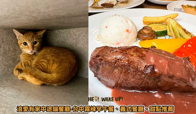 台中連假活動旅遊景點-2023推薦30個半日遊親子戶外網美私房秘境不塞車!情侶夢幻約會、親子行程 44 浪愛有家中途貓餐廳文章