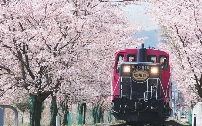 清明連假旅遊、住宿-2023台灣國內、日本出國優惠活動推薦去哪玩? 8 2023日本賞櫻花景點、秘境推薦排行榜前3名清單: