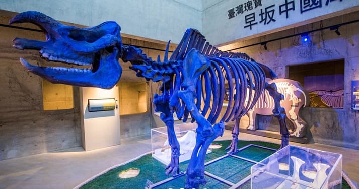 2023中部親子景點推薦-18個精選桃竹苗、台中免費戶外、室內旅遊 69 親子景點-南部室內推薦:台南|左鎮化石園區