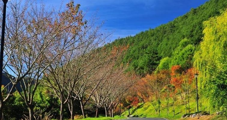 雙十連假-2022國慶煙火哪看?放幾天?火車、高鐵訂票!全臺旅遊活動 52 雙十連假-2022國慶煙火哪看?放幾天?火車、高鐵訂票!全臺旅遊活動