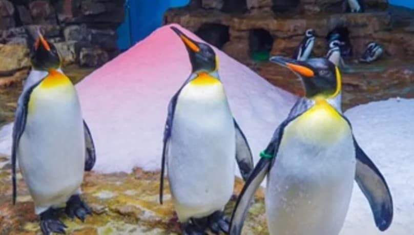 雙十連假-2022國慶煙火哪看?放幾天?火車、高鐵訂票!全臺旅遊活動 17 雙十連假室內景點推薦