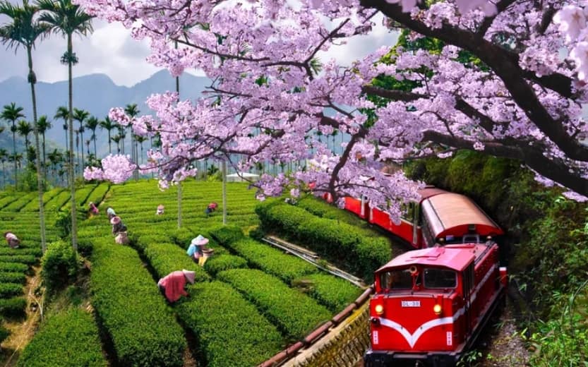 清明連假旅遊、住宿-2023台灣國內、日本出國優惠活動推薦去哪玩? 30 清明連假旅遊、住宿-2023台灣國內、日本出國優惠活動推薦去哪玩?