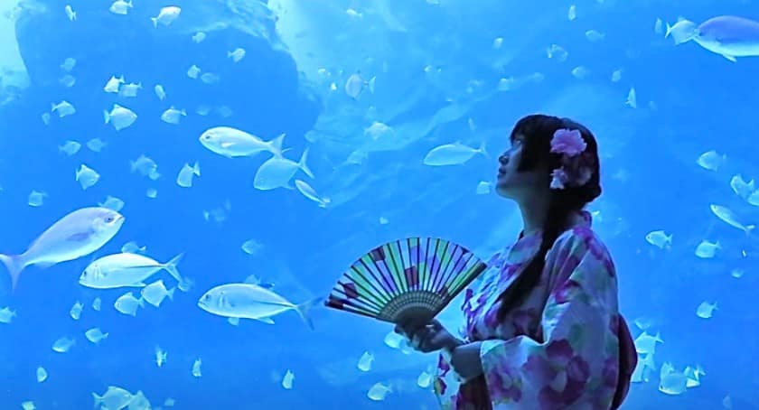 雙十連假-2022國慶煙火哪看?放幾天?火車、高鐵訂票!全臺旅遊活動 18 雙十連假-2022國慶煙火哪看?放幾天?火車、高鐵訂票!全臺旅遊活動