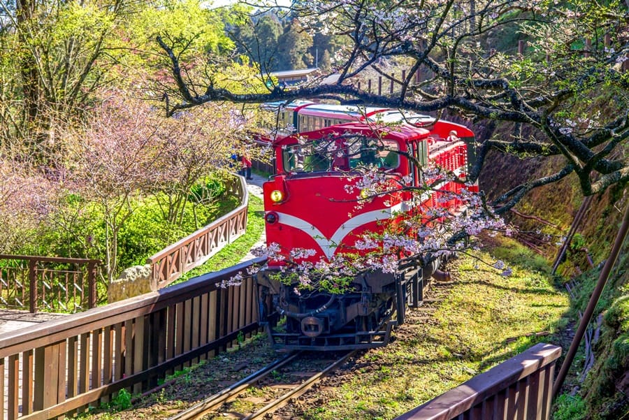 阿里山小火車怎麼玩?怎麼搭?2024最新票價、一日遊路線圖、時刻表、看日出 1 阿里山小火車