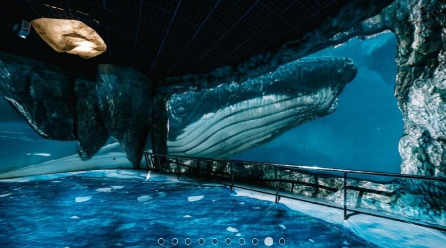 KKDAY折扣碼-2022年12月ptt最新玉山、台新信用卡、台灣水族館旅遊住宿隱藏優惠下殺2折!客服評價、折扣券 24 KKDAY折扣碼-排行第2名屏東海生館